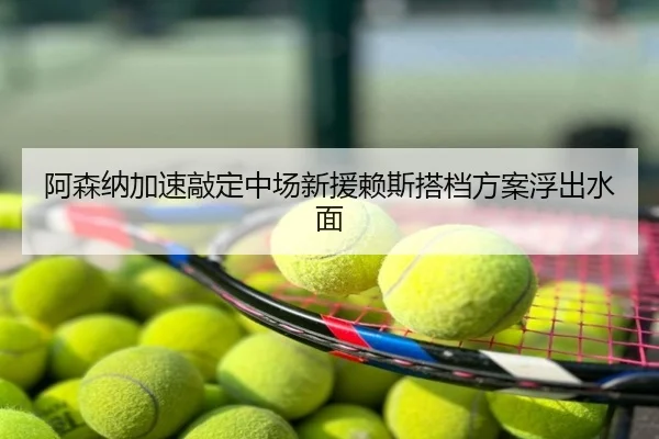 阿森纳加速敲定中场新援赖斯搭档方案浮出水面